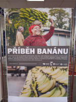 Výstava - Příběh banánu