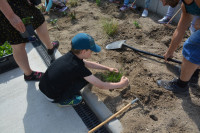 Kopřivnická trvalka - Výsadba trvalek s dětmi ZŠ Floriána Bayera